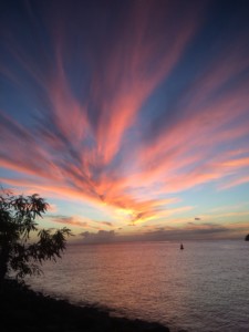 IMG_0931-e1475828153840-225x300 What Mr Killa taught me about job search resilience